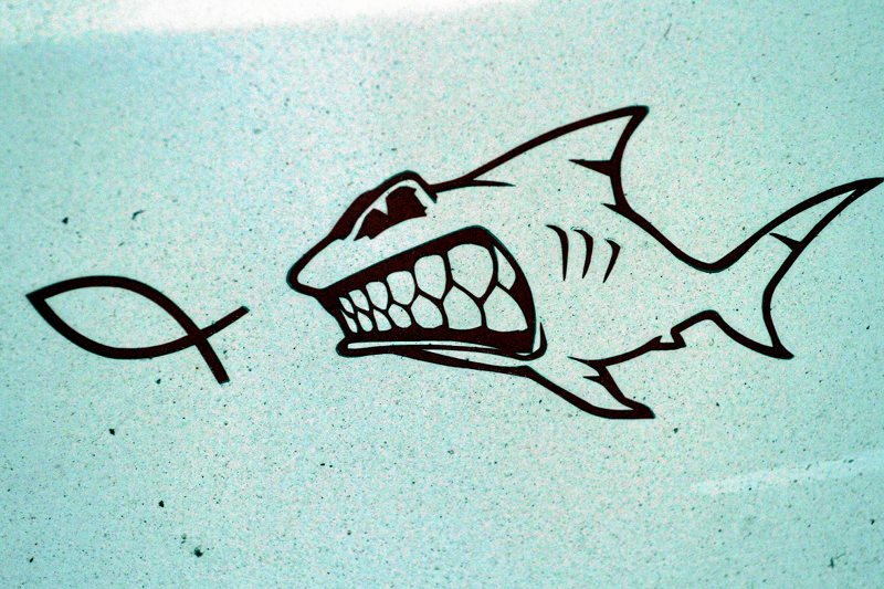 Zespół profesora Mirona Zuckermana doszedł do zaskakujących wniosków. Według niego ateiści są mądrzejsi od wierzących