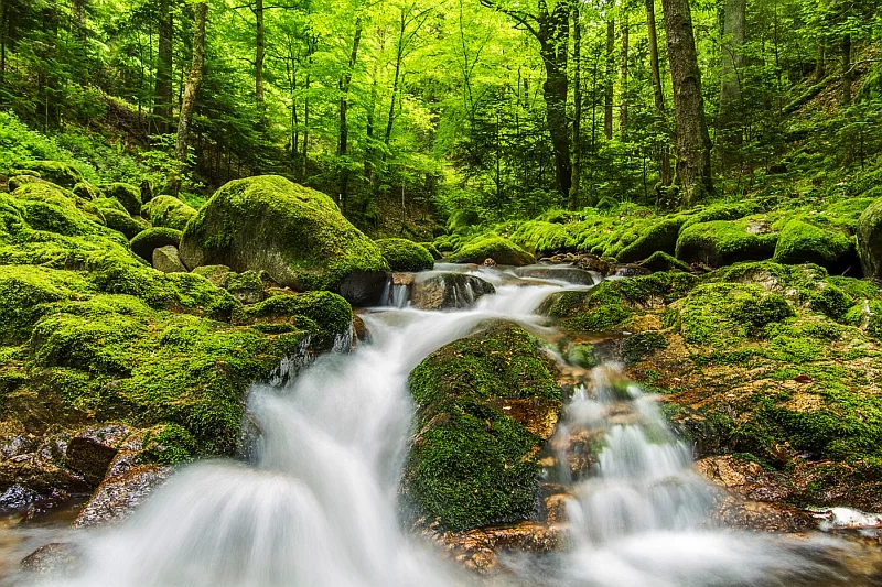 Wodospad Geroldsau znajduje się na górskiej rzece Grobbach, na południe od uzdrowiskowego miasta Baden-Baden w północnej części Schwarzwaldu