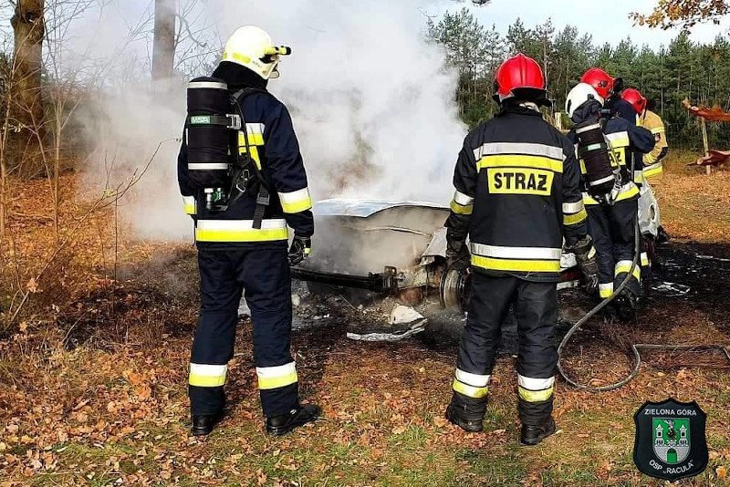 Strażacy znaleźli kości w spalonym aucie.