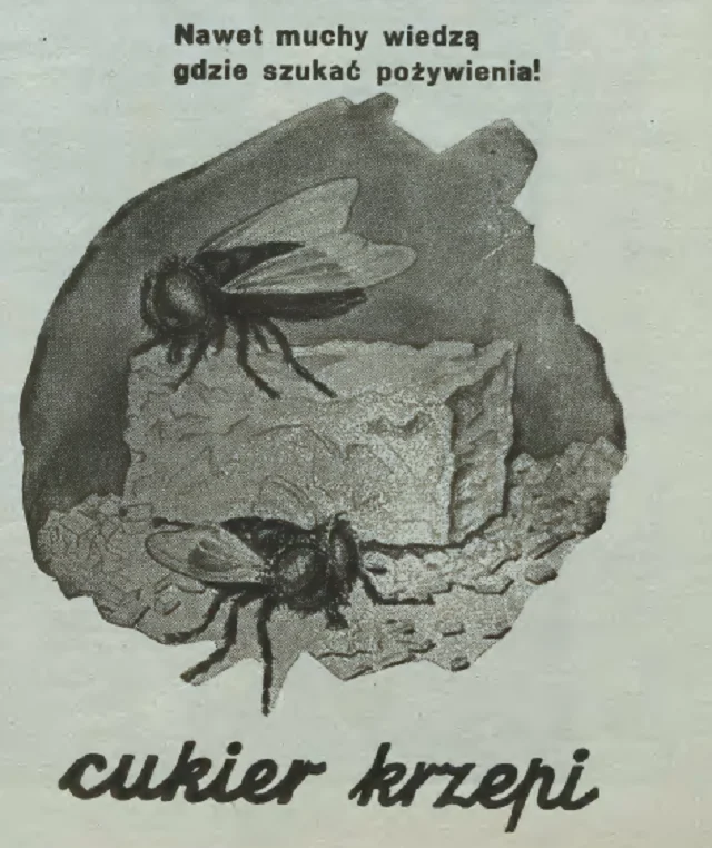Hasło "Cukier krzepi!" wymyślił Melchior Wańkowicz.