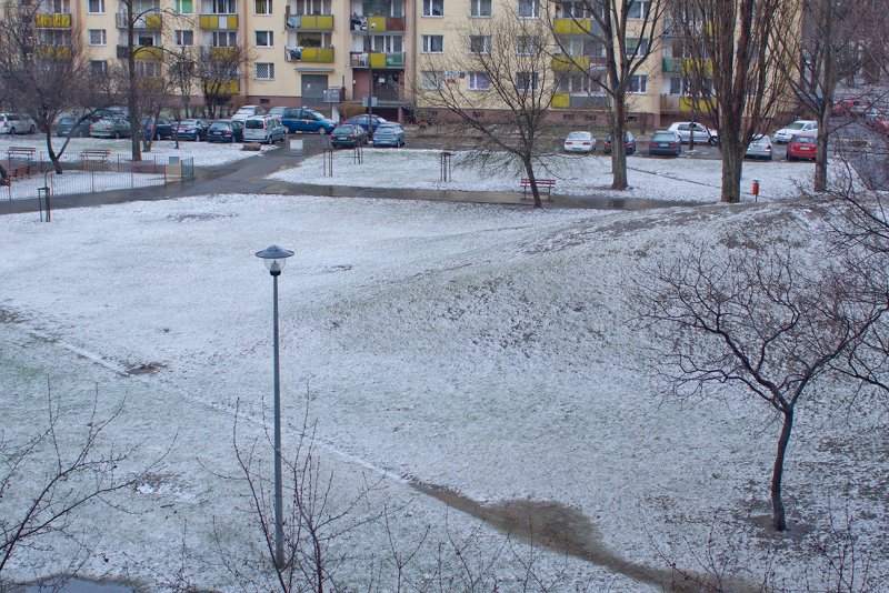 Po poranne pobudce za oknem można było zobaczyć takie widoki