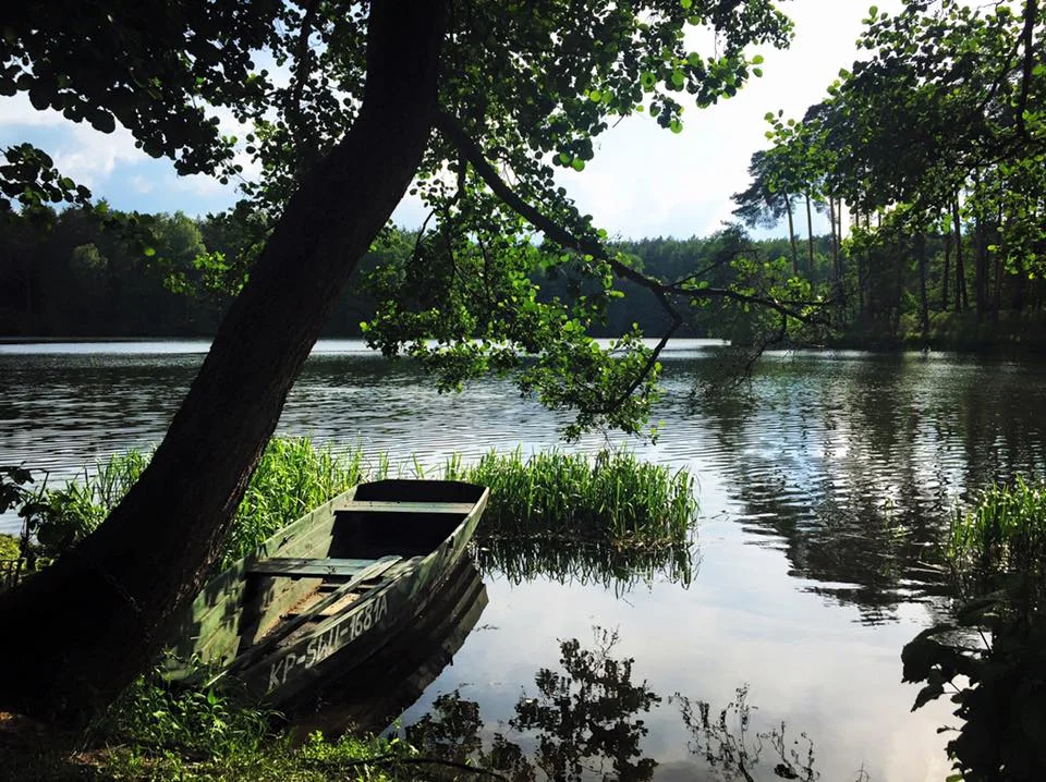 Okolica Przystanku Tleń
