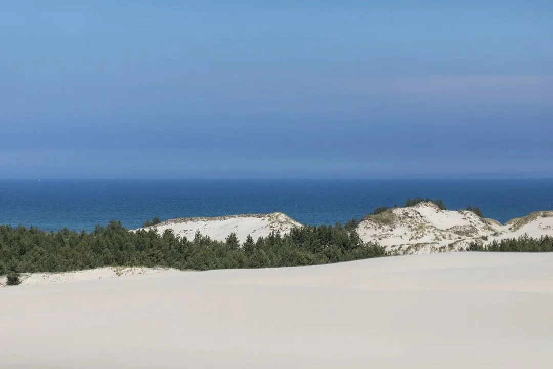 Ruchome wydmy obok Łeby.