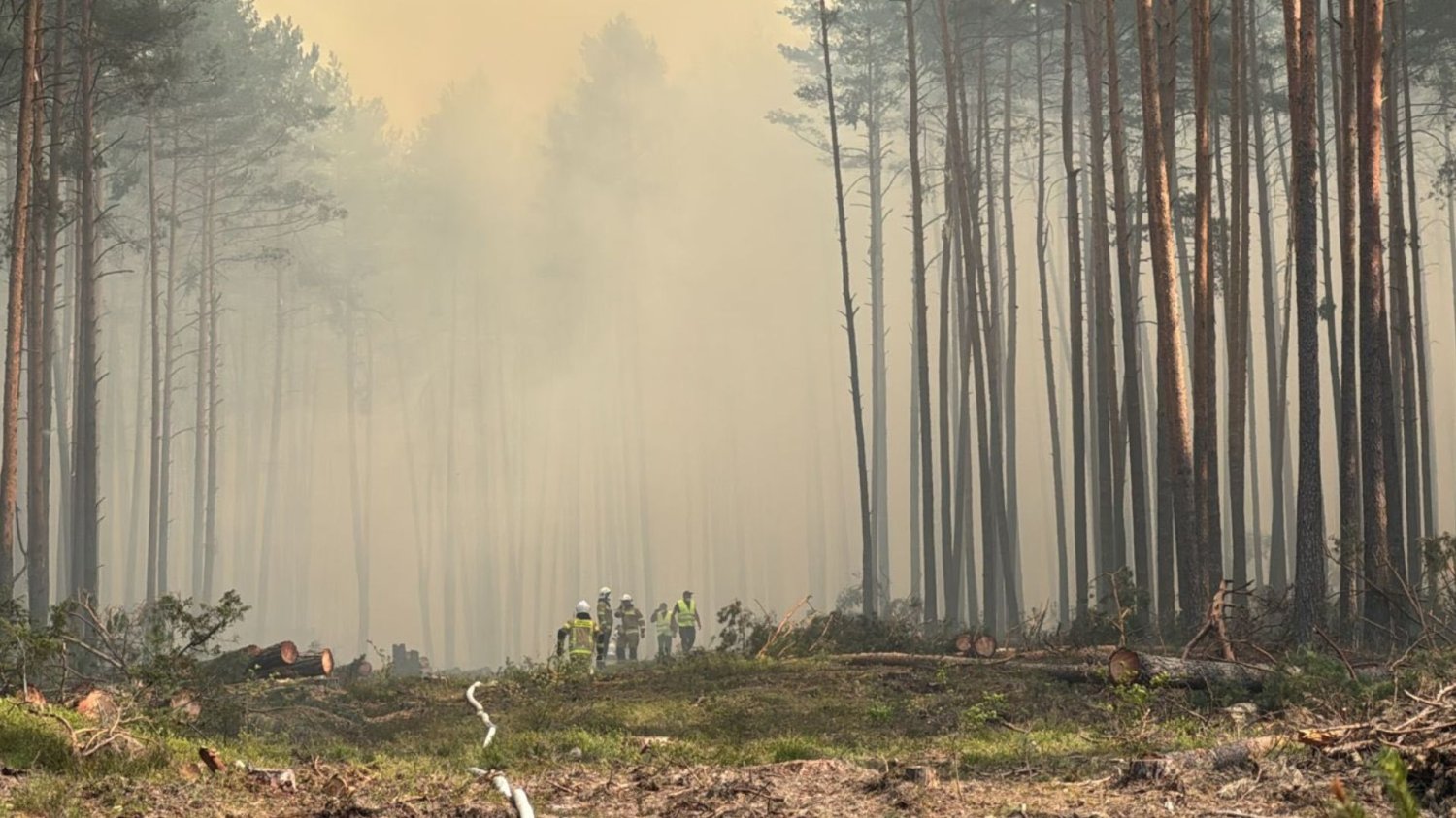Trwa gaszenie Puszczy Solskiej