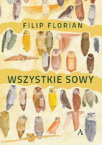 Filip Florian
Wszystkie sowy