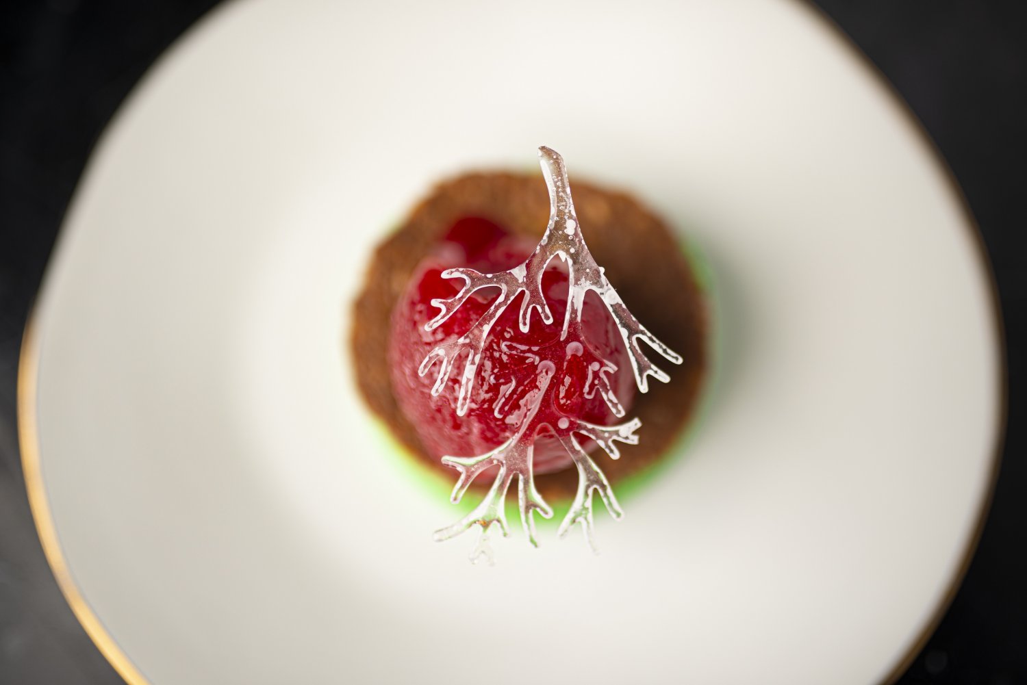 HOŻA Argentine Steakhouse