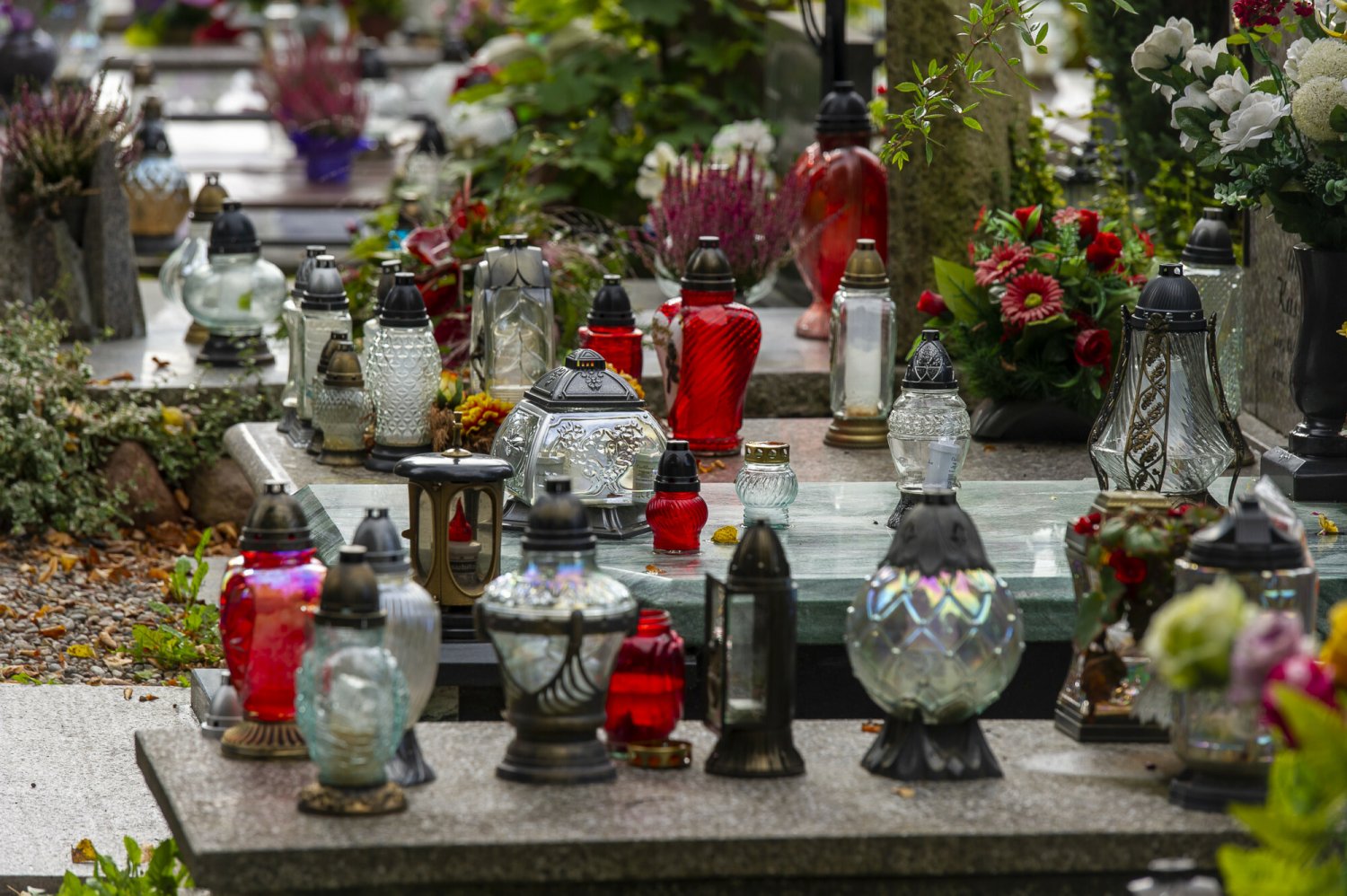 Sprawdziliśmy ceny kwiatów i zniczy przed 1 listopada.