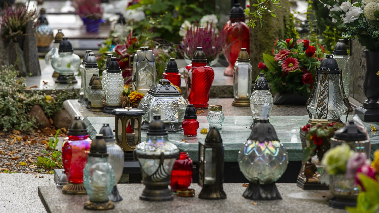 Sprawdziliśmy ceny kwiatów i zniczy przed 1 listopada.