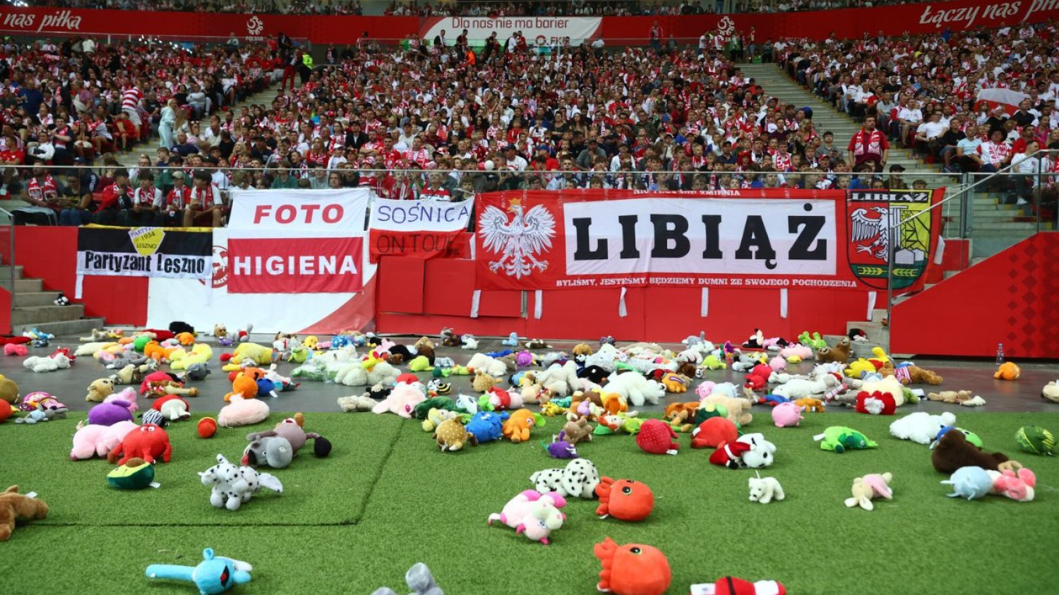 Misie na Stadionie Narodowym. Wyjątkowa akcja w ramach meczu Polska-Turcja