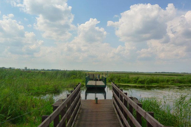 Podlasie - najbardziej niedoceniany region turystyczny w Polsce. Unia płaci, ale Polacy nie chcą skorzystać. Na zdjęciu: kładki nad rozlewiskami Narwi.