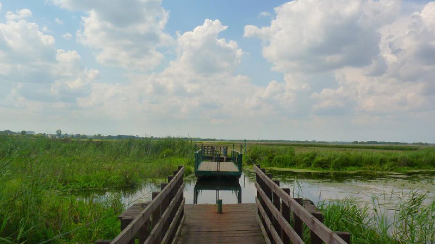 Podlasie - najbardziej niedoceniany region turystyczny w Polsce. Unia płaci, ale Polacy nie chcą skorzystać. Na zdjęciu: kładki nad rozlewiskami Narwi.