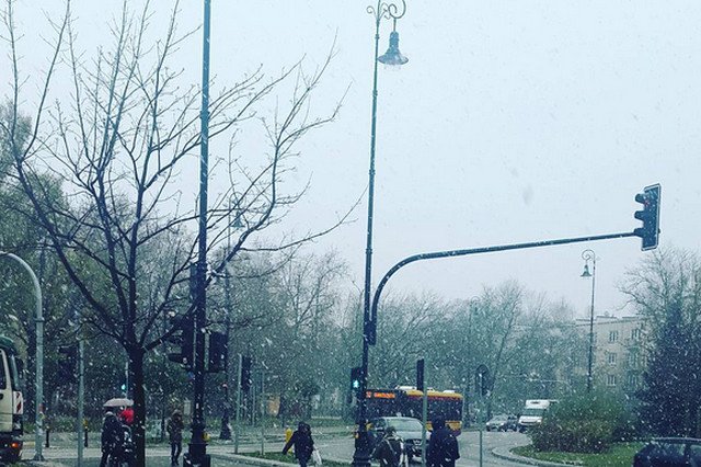 Internet reaguje na pierwszy śnieg. Pada m.in. w Warszawie.