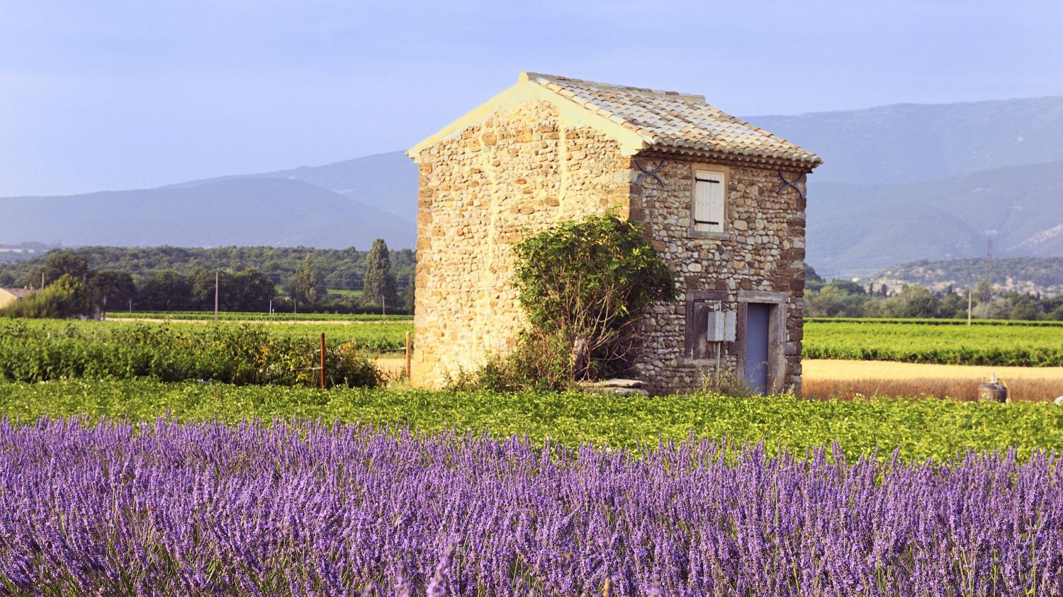 Problem, czy też może cały urok, Toskanii i Prowansji polega na tym, że i na żywo przypominają podrasowane zdjęcie ze stocka.