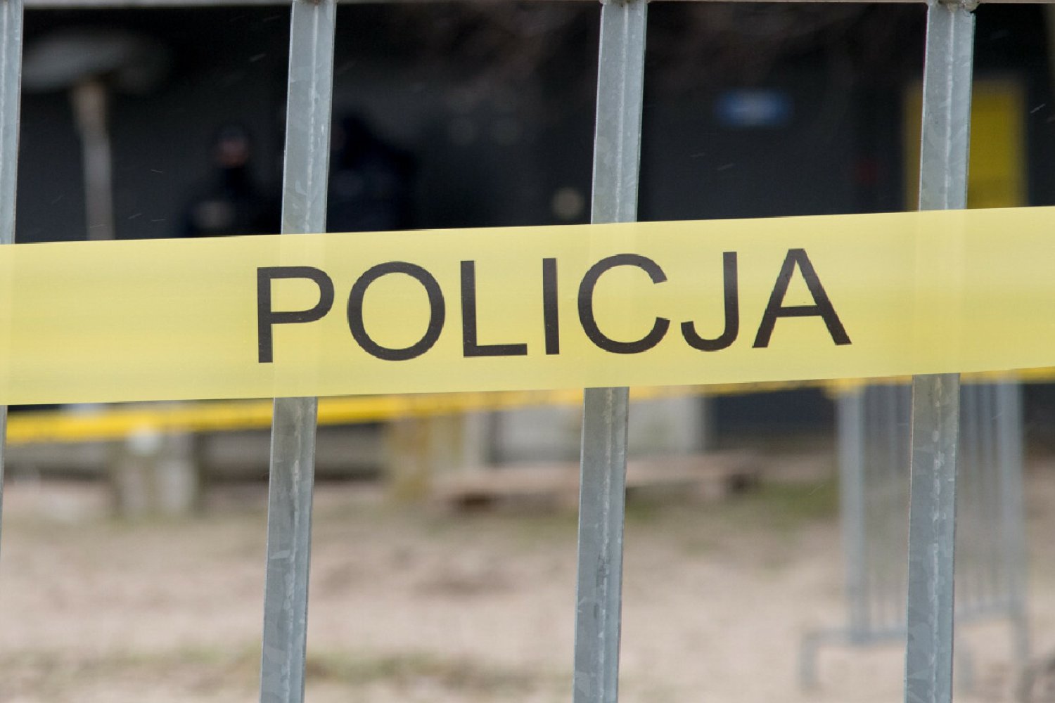 Lipsko. 19-latek dachował i uderzył w drzewo. Razem z nim zginął 18-latek.