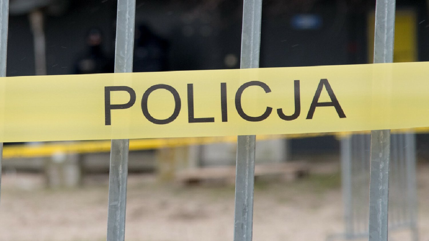 Lipsko. 19-latek dachował i uderzył w drzewo. Razem z nim zginął 18-latek.