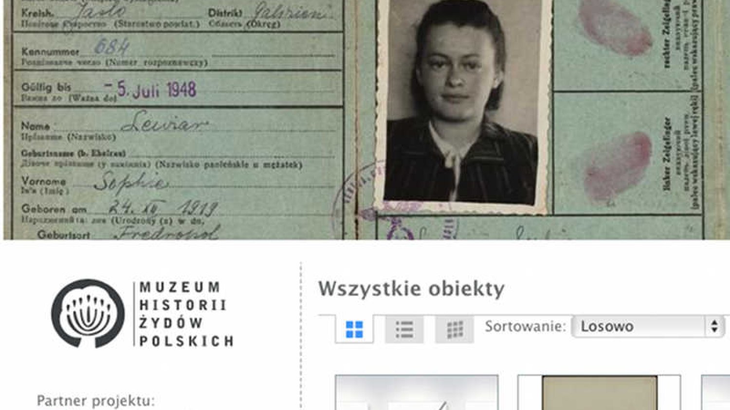 Centralna Baza Judaików