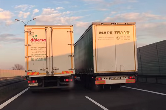 Konflikt na linii Wykop i akwarystyczna firma Diversa