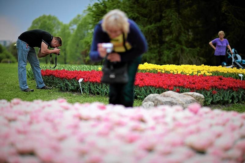 Wiosna przyjdzie 10 kwietnia? Tak wskazuje prognoza pogody na najbliższe dni