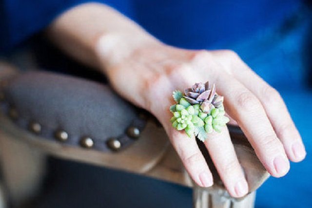 Biżuteria Susan wykonana jest z żywych roślin.