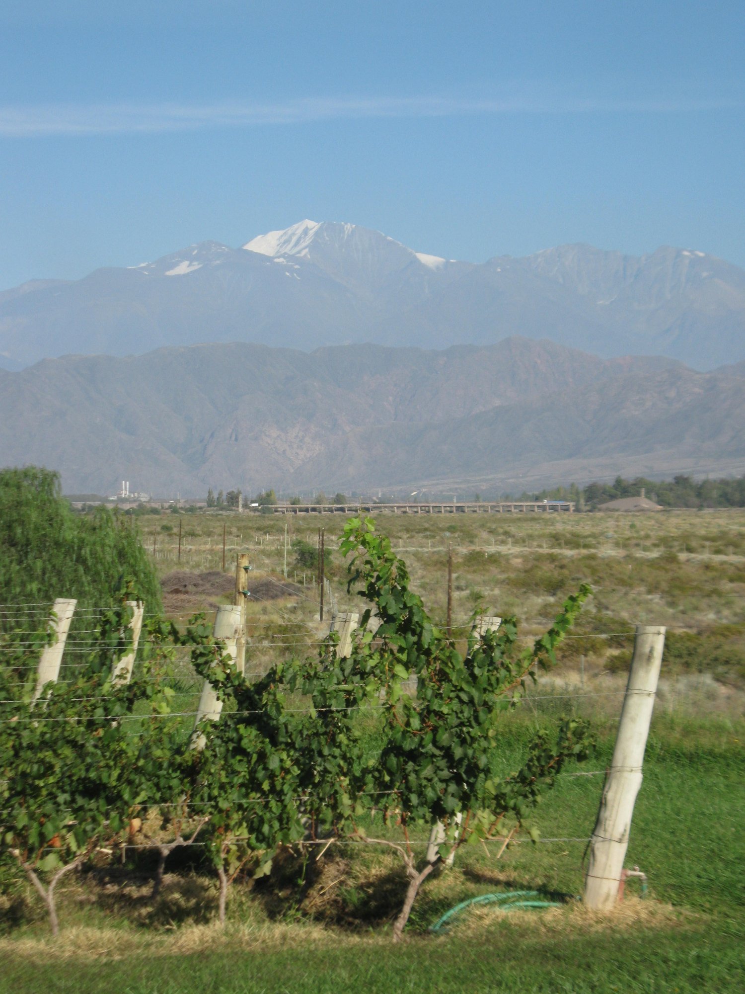 Finca Bella Vista - licząca ponad 100 lat winnica, dziś w rękach Achaval Ferrer. W tle andyjskie sześciotysięczniki.