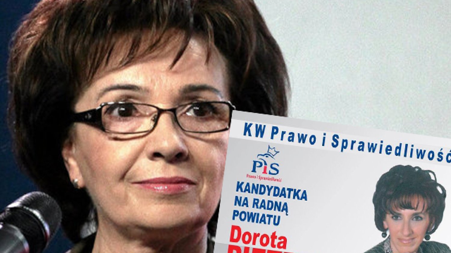 Kariera siostry Elżbiety Witek po wyborach nabrała rozpędu.