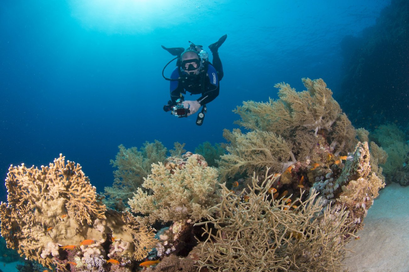 Dwóch Polaków utonęło w Hurghadzie. Szok, co stało się z kapitanem