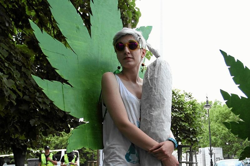 Argumenty zwolenników legalizacji marihuany przegrywają z opiniami sceptyków?