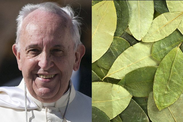 Papież Franciszek miał poprosić boliwijski rząd o liście koki do żucia