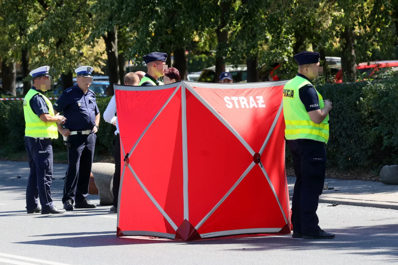 wypadek, kierowca wjechał w pieszych, kierowca drogowy