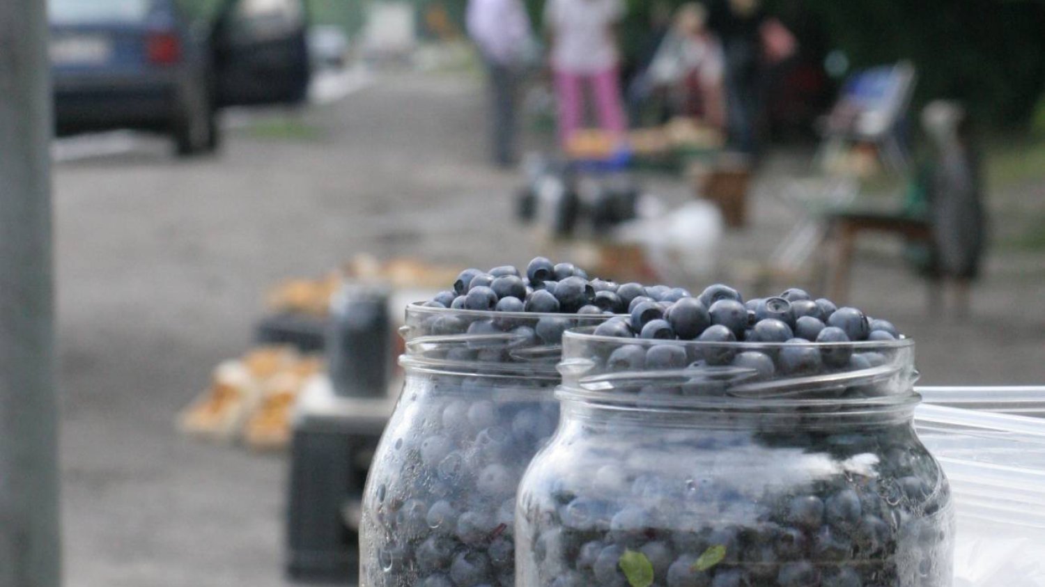 Kary dla zbieraczy i przydrożnych sprzedawców jagód. Mandaty od 200 do 5000 zł Kary dla zbieraczy i przydrożnych sprzedawców jagód. Mandaty od 200 do 5000 zł