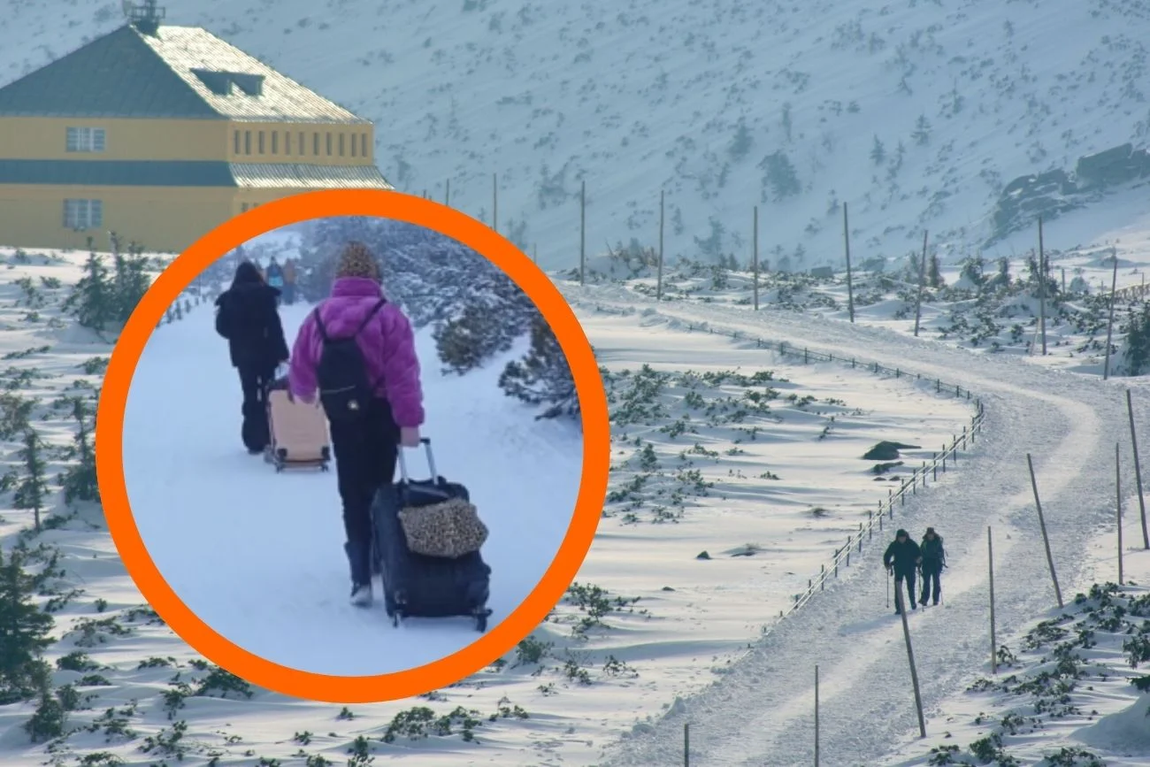 W Karkonosze z walizkami Pod Śnieżką z walizkami