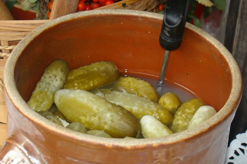 Ogórki kiszone są dla nas powszechną potrawą, jednak niektórzy obcokrajowcy uważają, że jemy zgniliznę