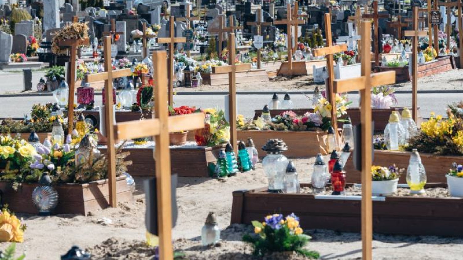 Nowe groby na cmentarzu Łostowickim w Gdańsku