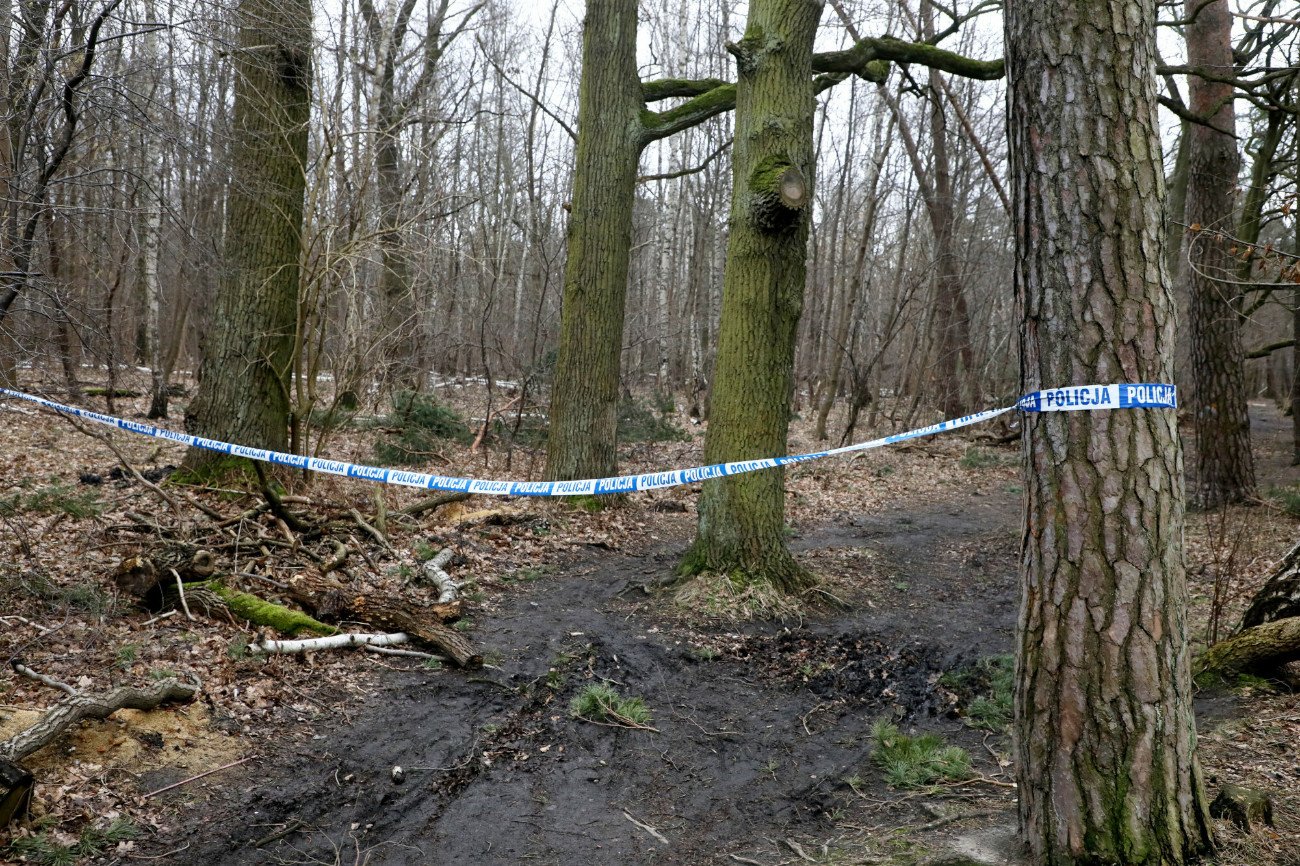 Są wstępne wyniki sekcji zwłok dwóch kobiet, których ciała znaleziono w lesie pod Częstochową.