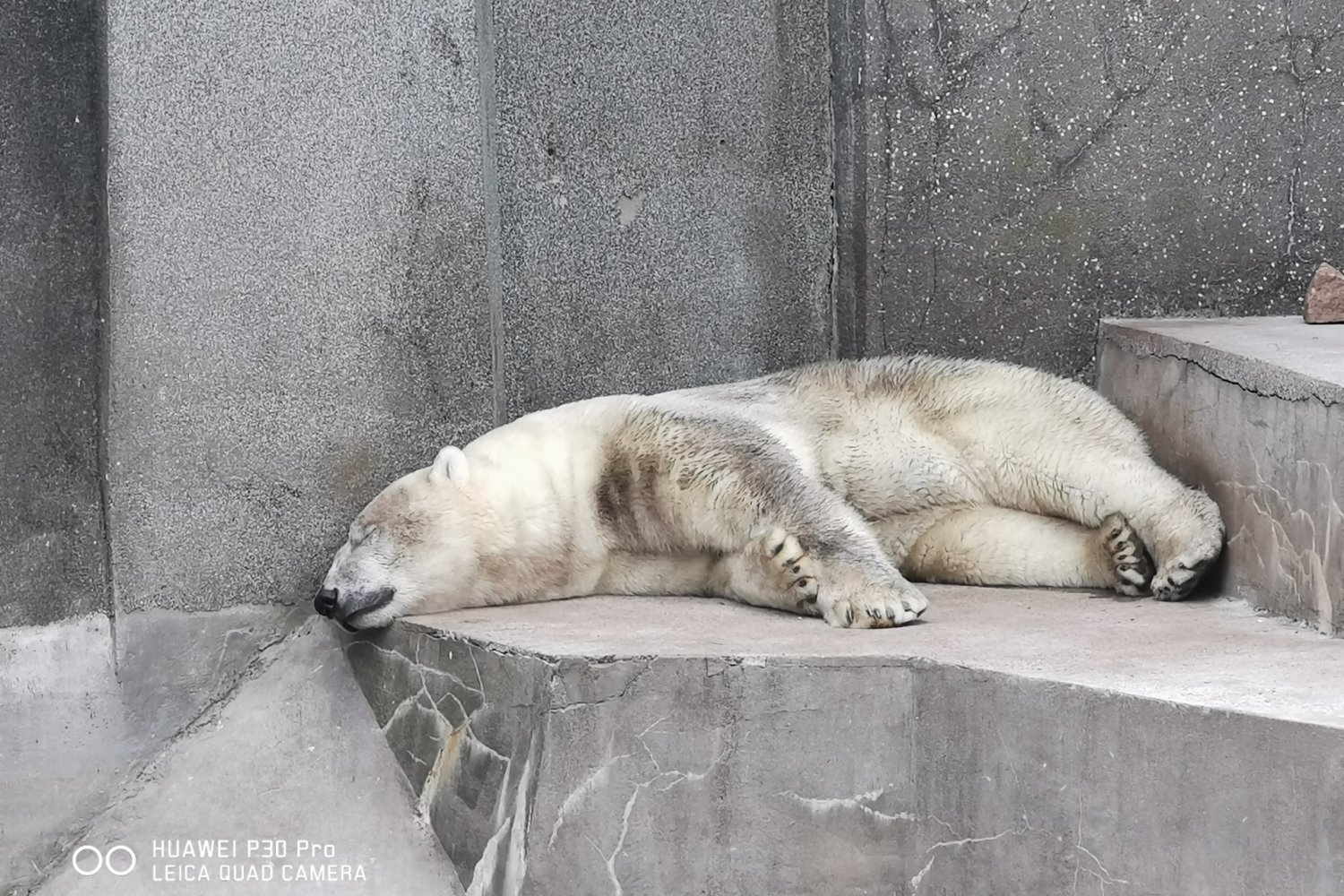 Zdjęcie wykonane smartfonem Huawei P30 Pro.