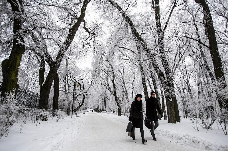 Mróz w Polsce nie odpuszcza.