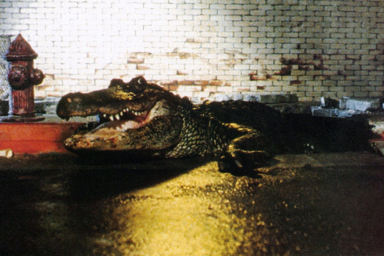 Miejskie legendy, które okazały się prawdą.