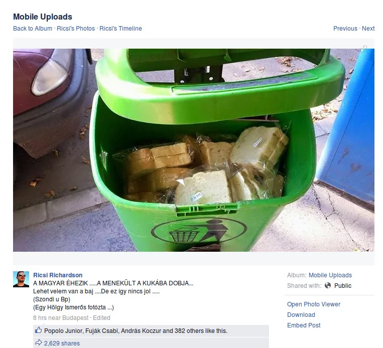 Oto jak imigranci "doceniają" pomoc Węgrów