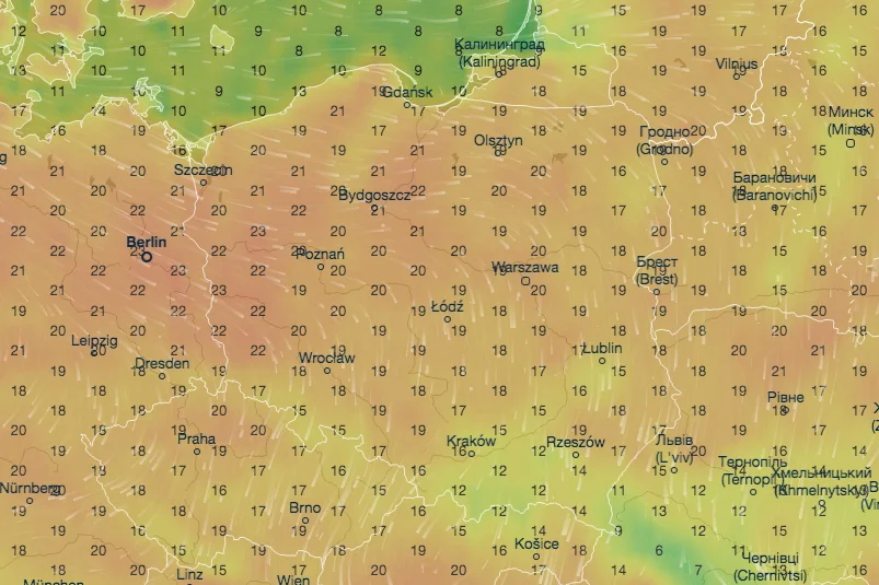 Powrót prawdziwej wiosny jest coraz bliżej.