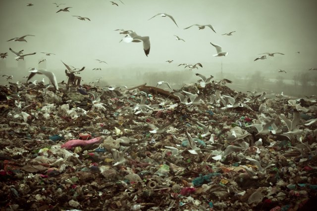 Tony śmieci zmierzają do Dąbrowy Górniczej.