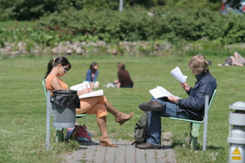Studencie filozofii, dziennikarstwa, socjologii! Wy też przeproście społeczeństwo za bezsensowne koszta