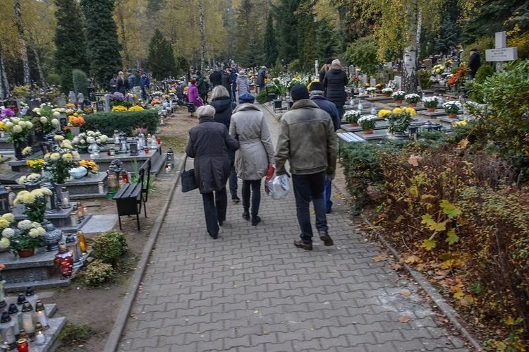 Kraska nie przewiduje zamknięcia cmentarzy 1 listopada. Koronawirus. Kraska: raczej nie dojdzie do zamknięcia cmentarzy 1 listopada.