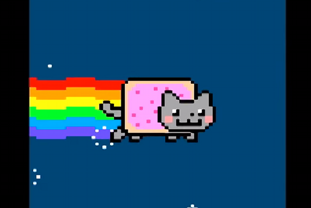 10 najpopularniejszych kotów w sieci