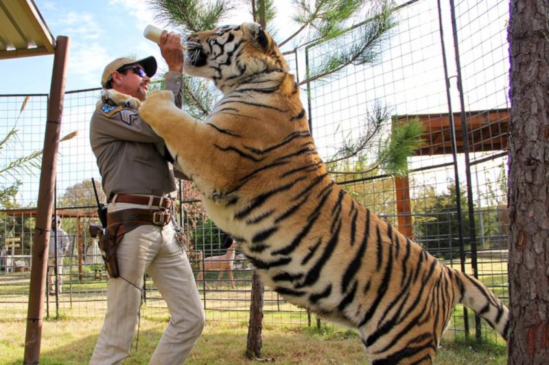 "Król Tygrysów" jest jednym z popularniejszych seriali true crime Netflixa.