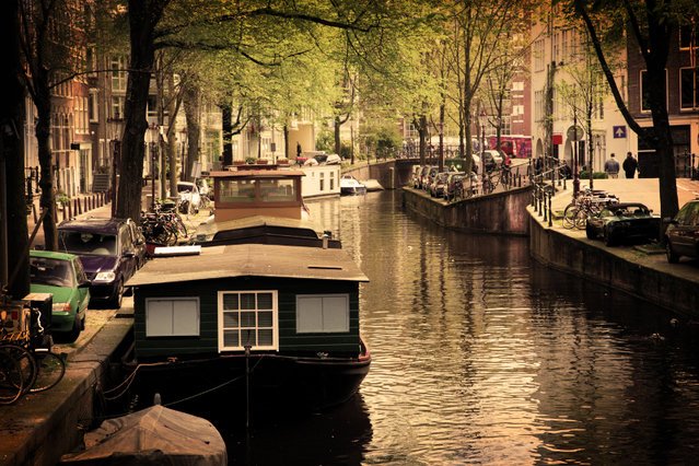 Pracowity jak...Polak! W Holandii pracujemy ponad 40 godzin tygodniowo, ale i tak nas dyskryminują.