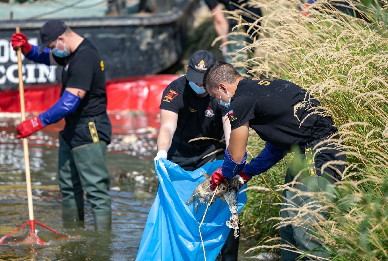 Katastrofa ekologiczna Odry. Jest oficjalne potwierdzenie ws. rtęci.