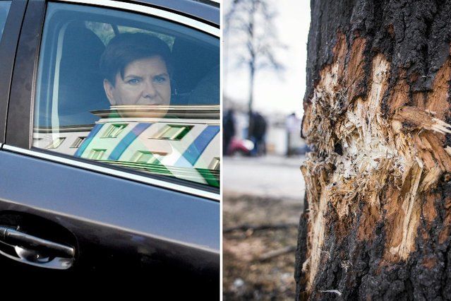 Kierowca premier Beaty Szydło popełnił kilak prostych błędów.
