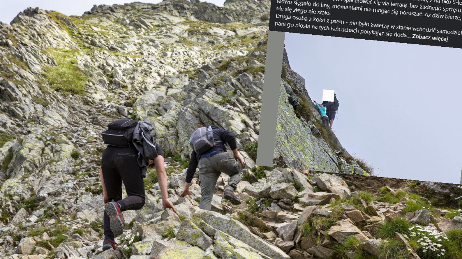 Tatry. Dziecko schodzi z góry po łańcuchu. "Oglądanie walki napawało grozą".