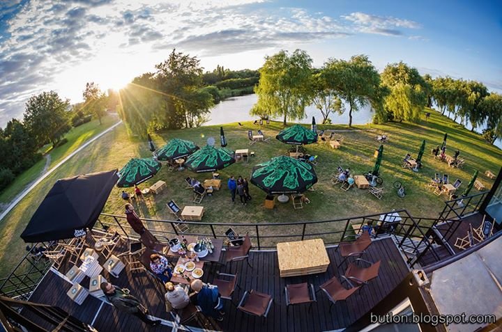 Sztauwajery
fot. Piotr Nowak