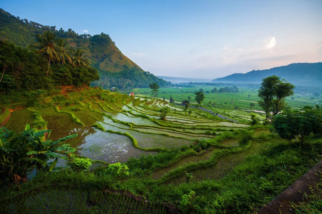 Bali.